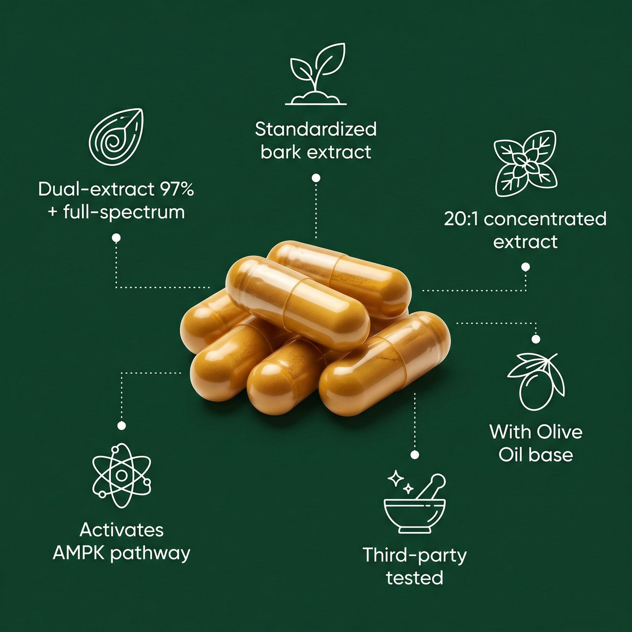 Berberine Dual-Extract Complex